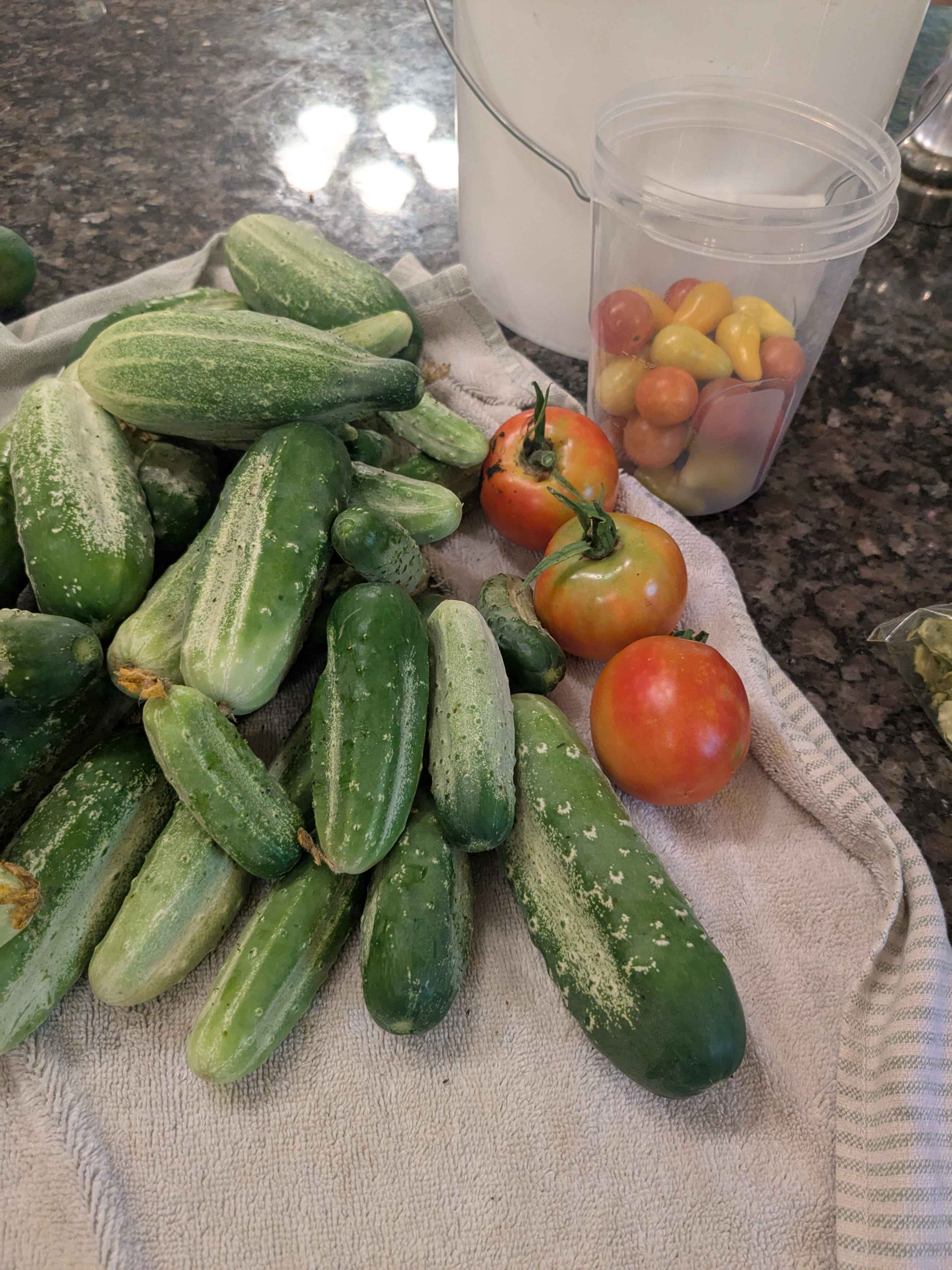 Basket with cucumbers and tomatoes