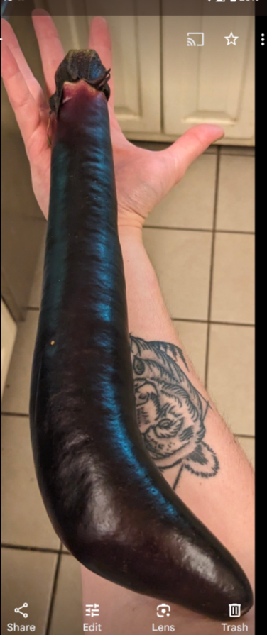 Long glossy purple eggplant held over a tiled floor